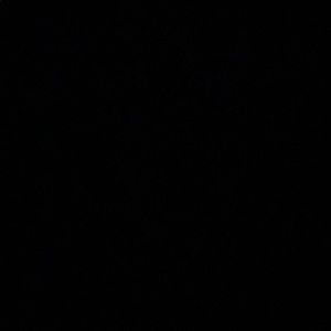 Meet your Posher, Brayden